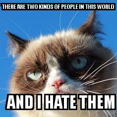 Angry Cat with the caption THERE ARE TWO KINDS OF PEOPLE IN THIS WORLD   AND I HATE THEM