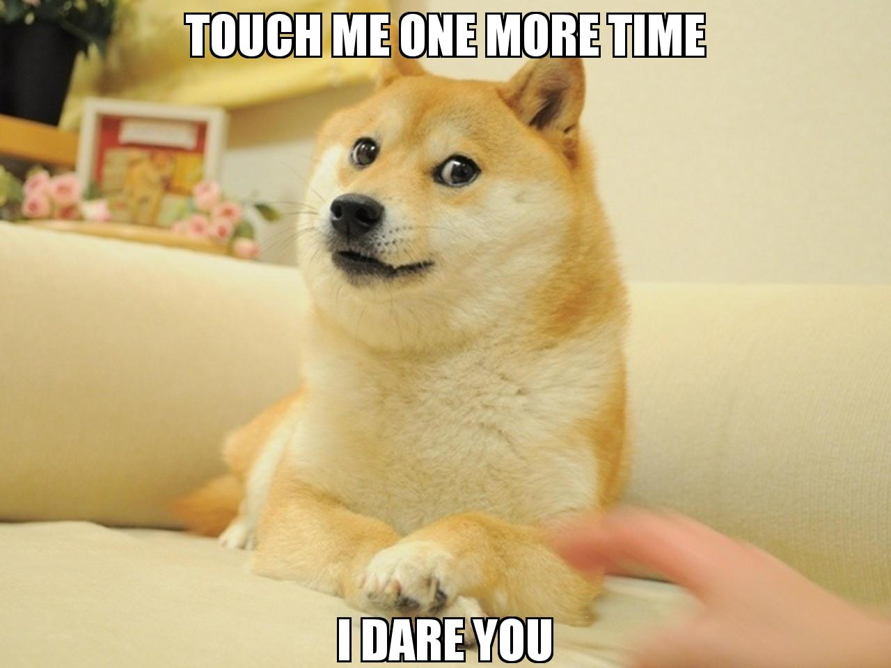 WTF DOG with the caption TOUCH ME ONE MORE TIME I DARE YOU