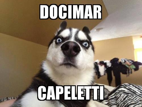 What the dog with the caption Docimar Capeletti