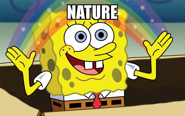 Spongebob Imagination Rainbow with the caption Nature 