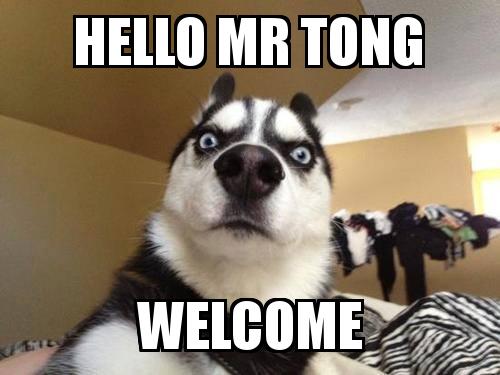 What the dog with the caption hello mr tong welcome